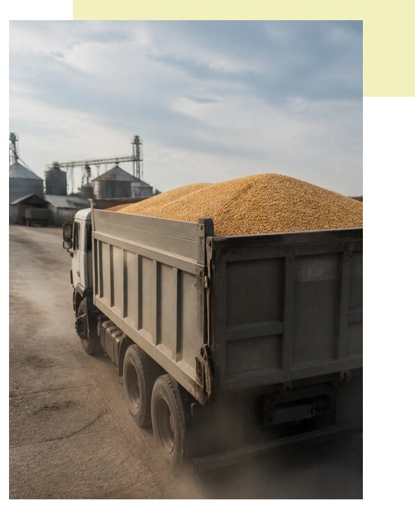 Перевозка сельхозпродукции навалом в Калугу по цене от 3034 р. | Агросервис-Клг